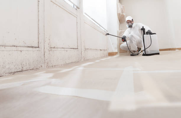 Post-remediation clearance in Kensington